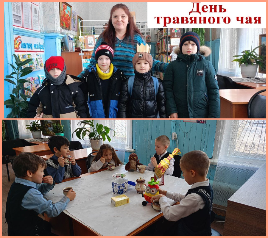 День травяного чая в библиотеке