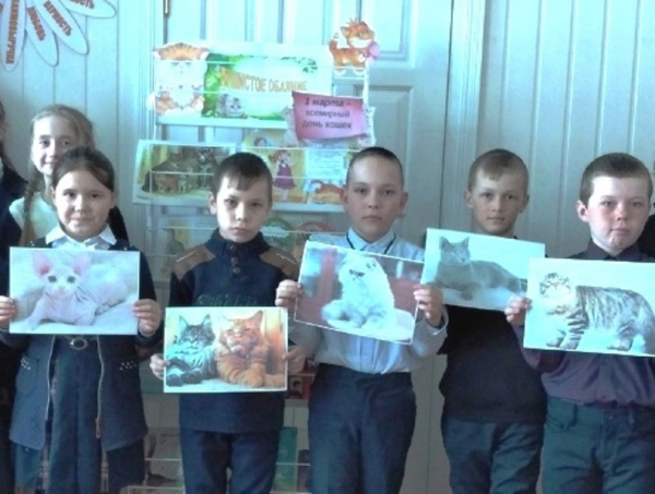 Познавательное путешествие «Тайны кошачьего царства»