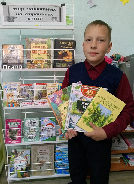 Из жизни зеленого мира